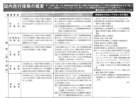 国内旅行保険の概要