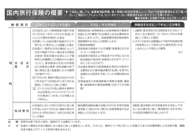 国内旅行保険の概要2