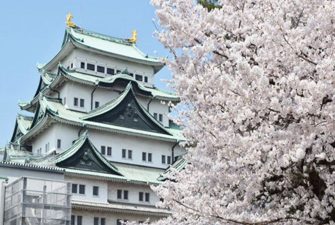 名古屋市内の観光客は増加しています。名古屋城など人気のスポットを貸切バスで移動。