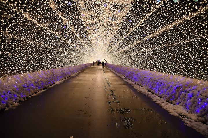 全国に知られている「なばなの里」（三重県桑名市）